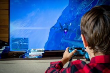 Perception et médiation par les parents du risque lié aux jeux vidéo en Norvège - 18