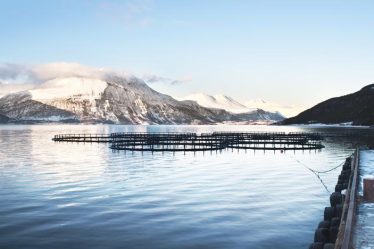 Réseau criminel soupçonné de fraude fiscale dans la location de main-d'œuvre en Norvège et en Lituanie démantelé | Eurojust - 18