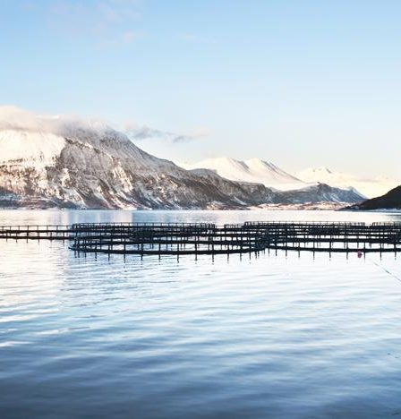 Réseau criminel soupçonné de fraude fiscale dans la location de main-d'œuvre en Norvège et en Lituanie démantelé | Eurojust - 8