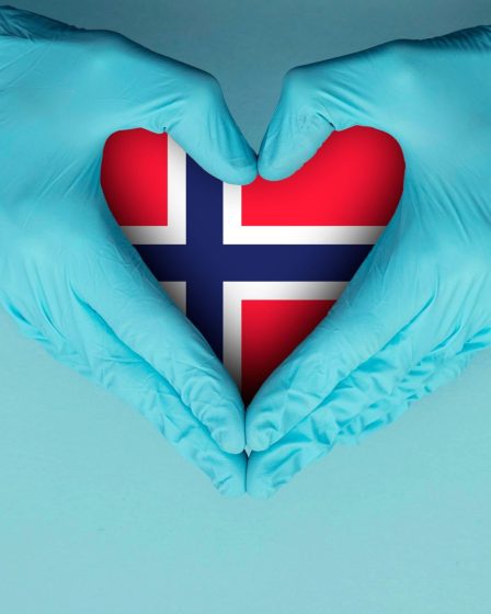 Guide complet du volontariat en Norvège - 31