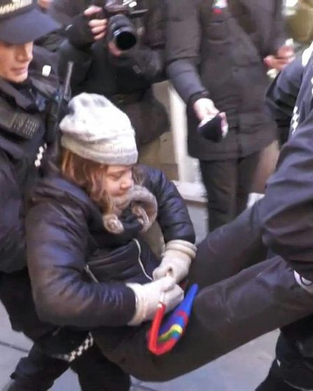 Regardez Greta Thunberg se faire emporter par la police lors d'une manifestation contre les éoliennes en Norvège. - 7