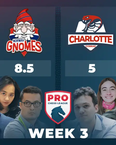 Les Gnomes de Norvège récupèrent pour voler la victoire du match ; les crevettes maniaques espagnoles déclenchent une émeute 2 Les Gnomes de Norvège récupèrent pour voler la victoire du match ; les crevettes maniaques espagnoles déclenchent une émeute - 1