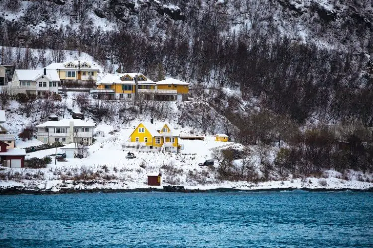 La vie change : Todd Thimios et ses étonnantes photographies d'orques de Norvège - 51