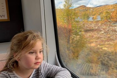 Une famille voyage en Norvège en train, avec une aire de jeux à l'intérieur - 16