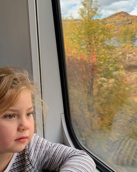 Une famille voyage en Norvège en train, avec une aire de jeux à l'intérieur - 26
