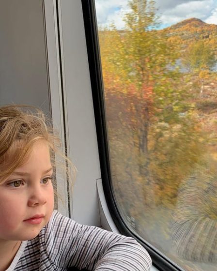 Une famille voyage en Norvège en train, avec une aire de jeux à l'intérieur - 27