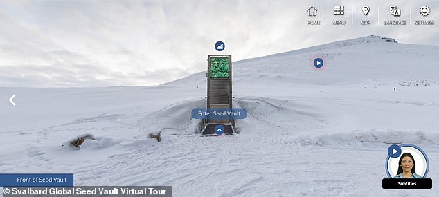 Les semences de la chambre forte de Svalbard sont remplacées toutes les quelques décennies et la chambre forte est ouverte trois fois par an pour accepter de nouveaux dépôts d'institutions internationales. Le permafrost qui l'entoure la protège également en cas de réchauffement extrême.