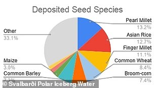 Le riz est de loin le type de semences le plus stocké, avec 85 millions de semences, dont 82 millions sont des variétés asiatiques comme l'oryza sativa. Cependant, l'espèce spécifique qui contient le plus de graines au Svalbard est le millet perlé, une céréale nutritive qui pousse dans les régions arides, avec 84 millions de graines.