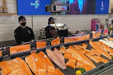 Les prix du saumon d'élevage norvégien chutent brutalement - 20