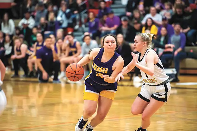 Les Vikings remportent le match contre les Knights : Baraga prend soin du ballon dans le match du titre régional contre la Norvège | News, Sports, Jobs 4 Les Vikings remportent le match contre les Knights : Baraga prend soin du ballon dans le match du titre régional contre la Norvège | News, Sports, Jobs - 3