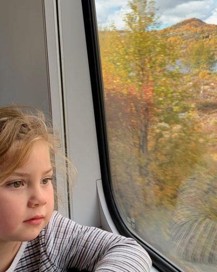 Une famille voyage en Norvège en train, avec une aire de jeux à l'intérieur - 20