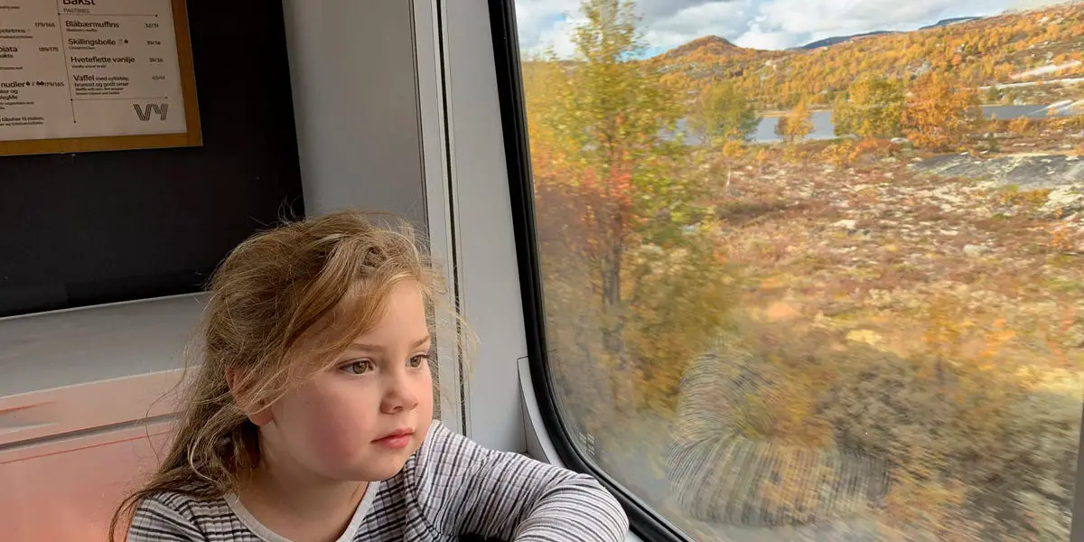 Une famille voyage en Norvège en train, avec une aire de jeux à l'intérieur - 3