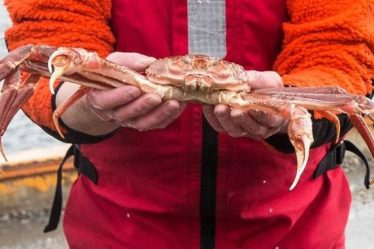 Dans une affaire concernant le pétrole, la Cour suprême norvégienne déclare que les navires de l'UE ne peuvent pas pêcher le crabe des neiges de l'Arctique. - 18