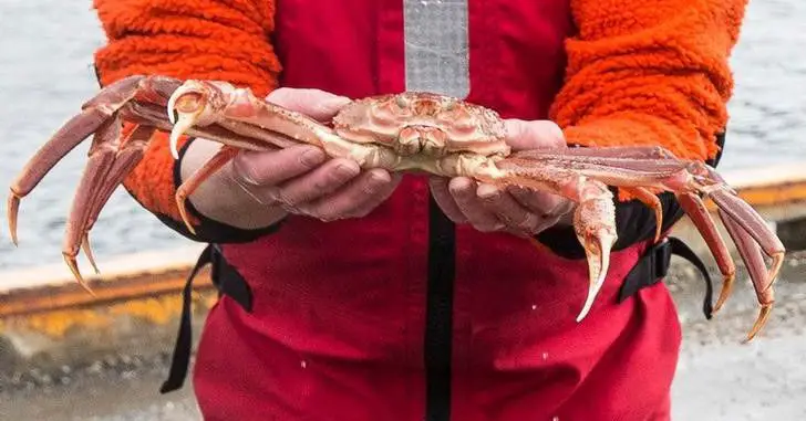 Dans une affaire concernant le pétrole, la Cour suprême norvégienne déclare que les navires de l'UE ne peuvent pas pêcher le crabe des neiges de l'Arctique. 4 Dans une affaire concernant le pétrole, la Cour suprême norvégienne déclare que les navires de l'UE ne peuvent pas pêcher le crabe des neiges de l'Arctique. - 3