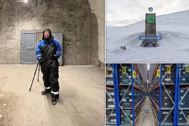 Visitez virtuellement la réserve mondiale de semences de Svalbard, en Norvège, qui protège les cultures du monde entier. - 16