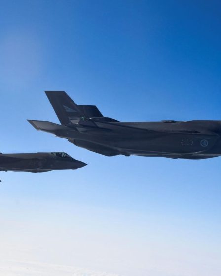 La Norvège, la Suède, la Finlande et le Danemark ont conclu un accord pour exploiter leurs plus de 200 avions de combat de pointe en tant que flotte unique, créant ainsi un nouveau casse-tête pour la Russie. - 20