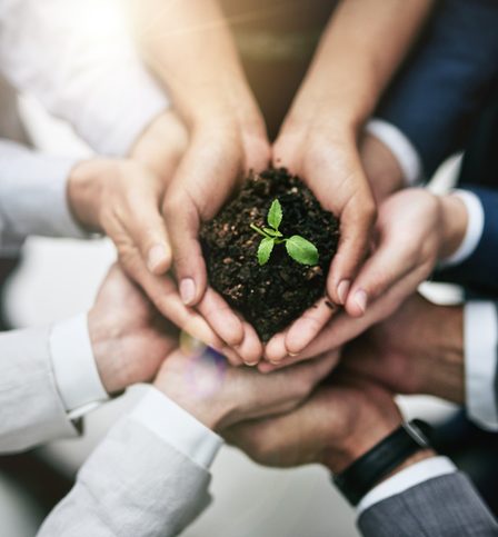 Le fonds souverain norvégien estime que la collecte de données pour la norme GRI sur la biodiversité reste difficile - 26