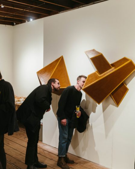 Revue d'art : La galerie norvégienne canalise l'énergie dans le pop-up de Brunswick - 16
