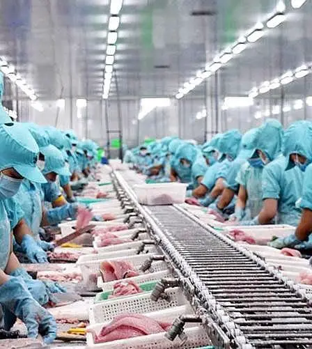 Vietnam - Norvège : Promouvoir la coopération bilatérale dans le domaine des produits de la mer - 1