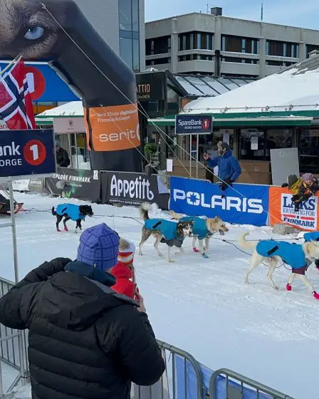 Finnmarksløpet : La course de chiens de traîneau longue distance en Norvège - 1
