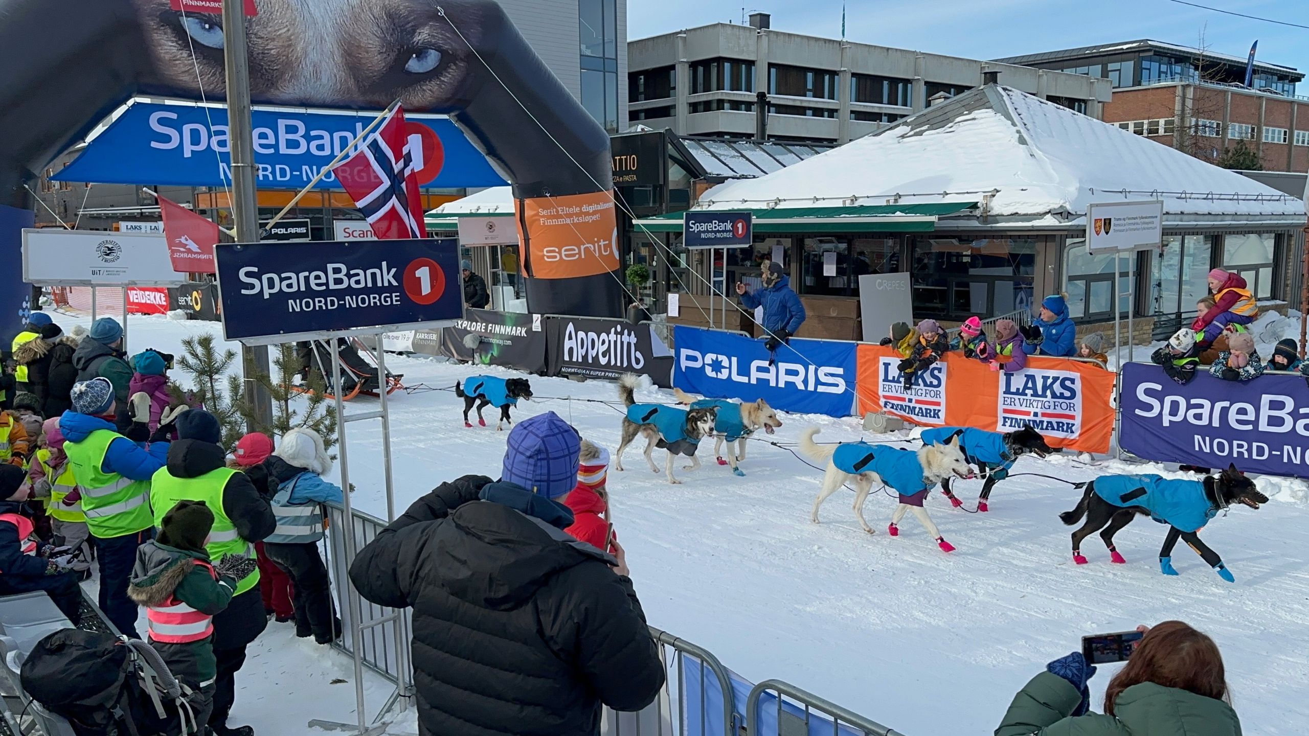 Finnmarksløpet : La course de chiens de traîneau longue distance en Norvège - 25