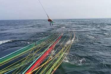 La saison du hareng norvégien touche à sa fin, mais le merlan bleu se porte bien - 16