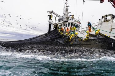 La Norvège et l'UE signent des accords sur les droits de pêche pour protéger les stocks de hareng de la Baltique occidentale - 21