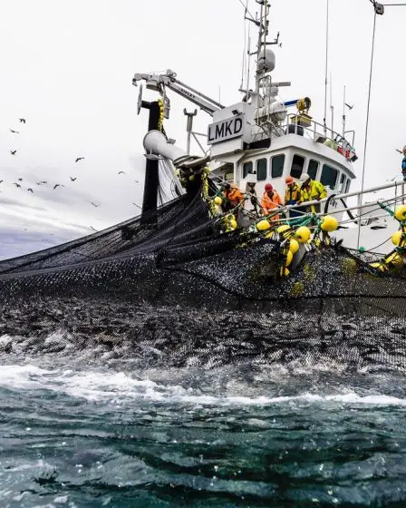 La Norvège et l'UE signent des accords sur les droits de pêche pour protéger les stocks de hareng de la Baltique occidentale - 51