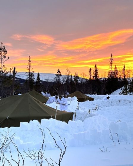 Le Minnesota et la Norvège s'associent pour le 50e échange de troupes | Article 2 Le Minnesota et la Norvège s'associent pour le 50e échange de troupes | Article - 1