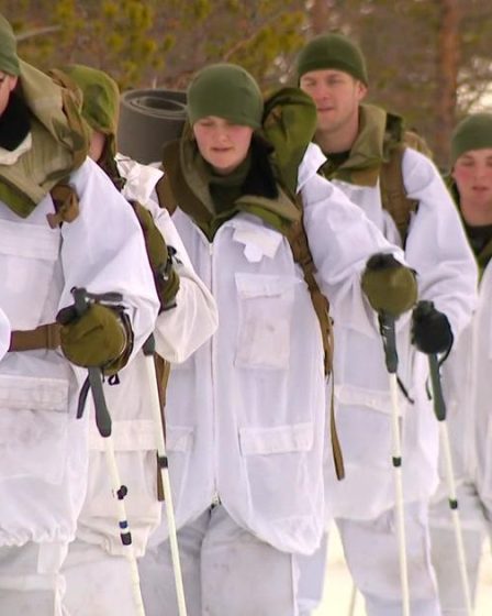 Le gouverneur Walz se rend en Norvège pour la signature d'un programme de partenariat avec l'État - 4