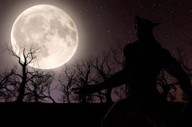 Le loup-garou en Norvège : Tout ce que vous devez savoir - 16