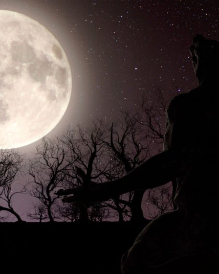 Le loup-garou en Norvège : Tout ce que vous devez savoir - 13