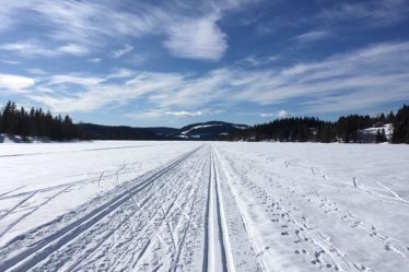 Nombre records de skieurs cette année en Norvège - 16