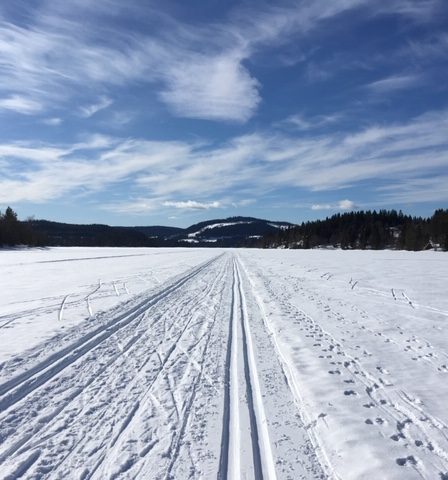 Nombre records de skieurs cette année en Norvège 24 Nombre records de skieurs cette année en Norvège - 23