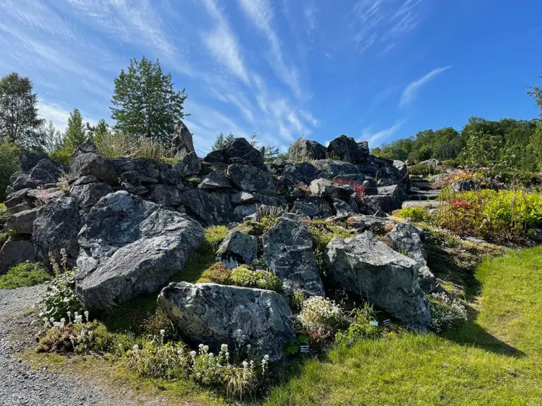 Jardin botanique arctique-alpin à Tromsø.