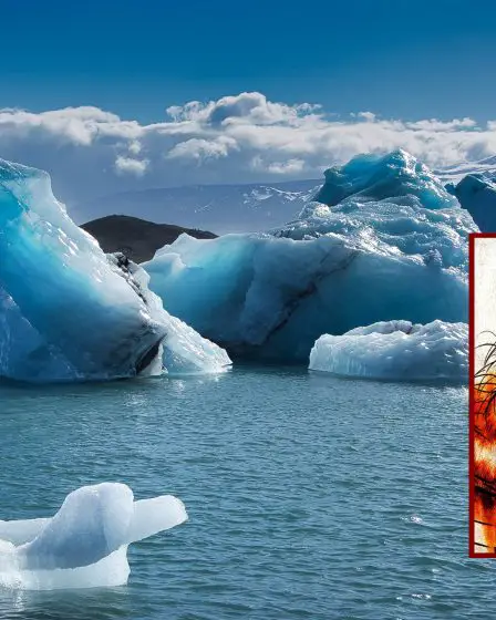Erik le Rouge : L'explorateur nordique qui a colonisé le Groenland - 1