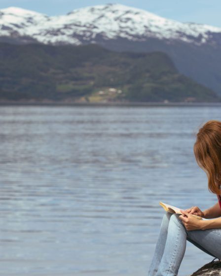 Livres sur la Scandinavie : Les meilleures lectures sur l'Europe du Nord - 55