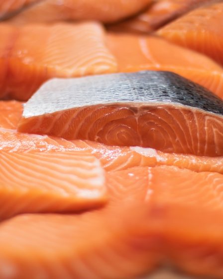 La Norvège réduit la taxe "Saumon" prévue sur l'aquaculture face à la pression - 1
