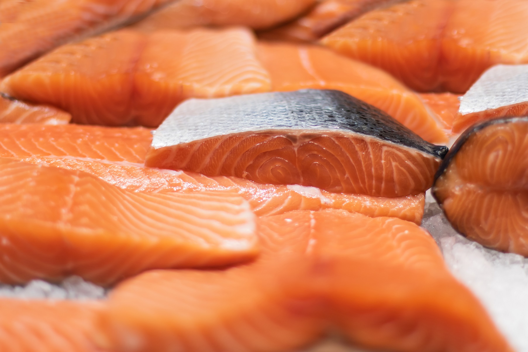La Norvège réduit la taxe "Saumon" prévue sur l'aquaculture face à la pression - 3