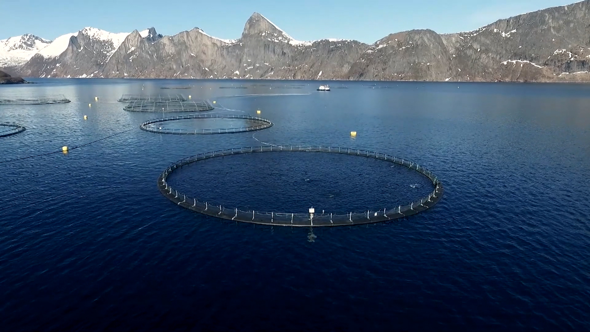 Les fermes piscicoles norvégiennes sont principalement situées à la frontière occidentale du pays. /Conseil norvégien des produits de la mer