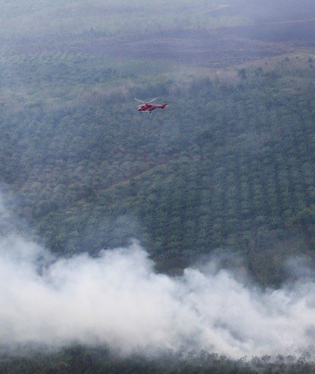 Partenariat renouvelé entre l'Indonésie et la Norvège 36 Partenariat renouvelé entre l'Indonésie et la Norvège - 35