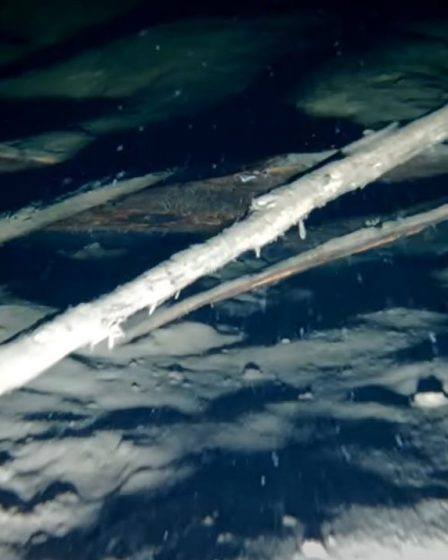 Des archéologues sous-marins révèlent des images de la "plus ancienne" épave de Norvège - 7