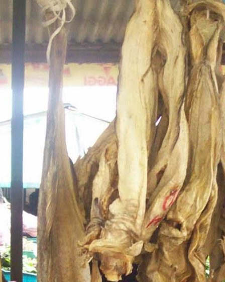 La Norvège veut que le gouvernement fédéral retire le stockfish de la liste des articles non éligibles aux devises | The Guardian Nigeria News - 1