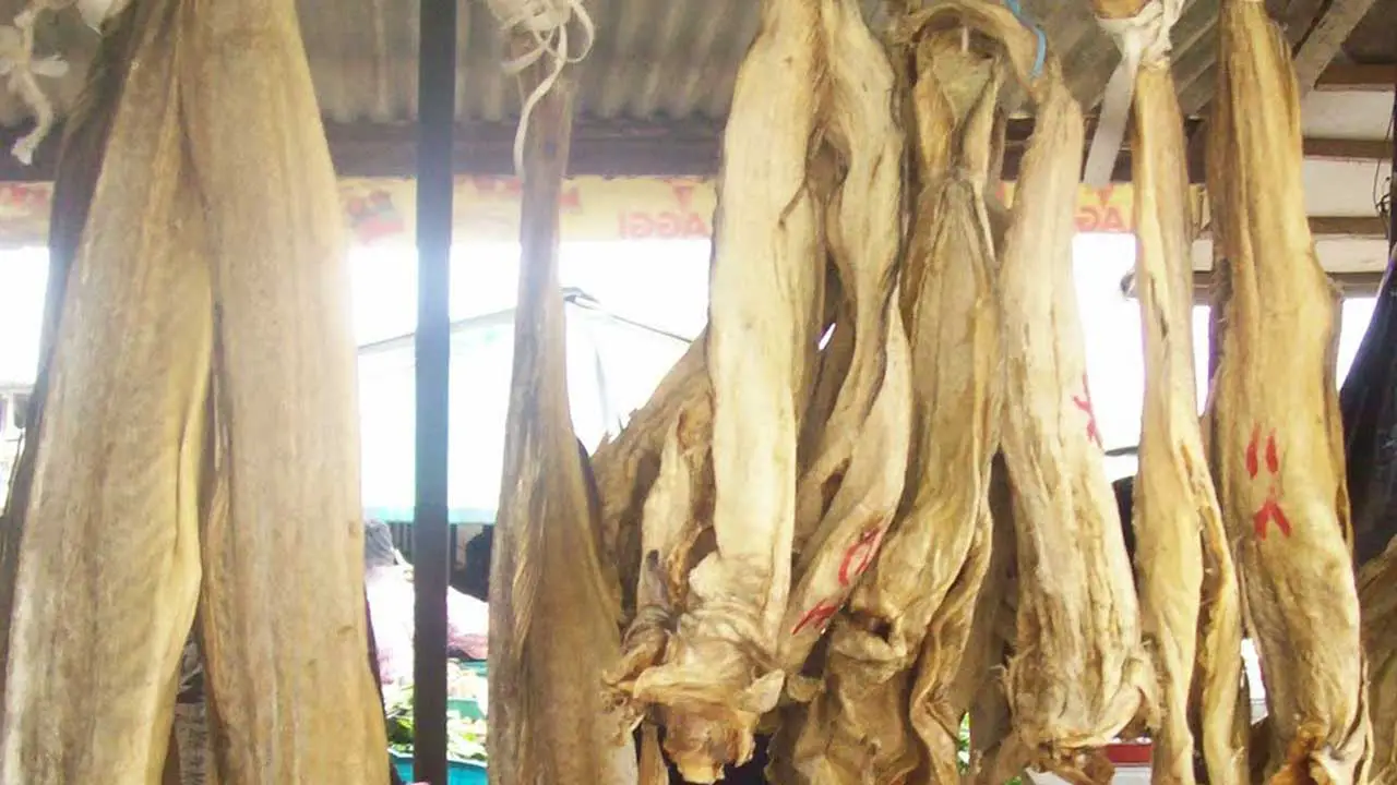 La Norvège veut que le gouvernement fédéral retire le stockfish de la liste des articles non éligibles aux devises | The Guardian Nigeria News 4 La Norvège veut que le gouvernement fédéral retire le stockfish de la liste des articles non éligibles aux devises | The Guardian Nigeria News - 3