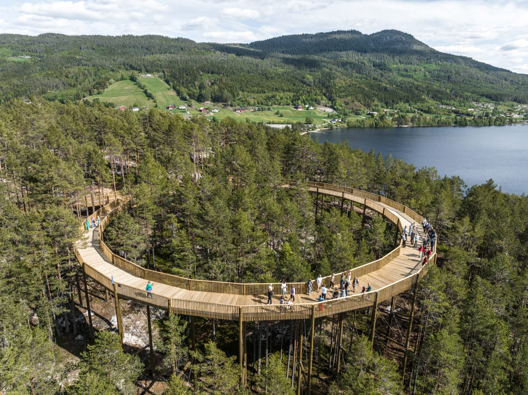 Une passerelle accessible dans les arbres à travers le parc Hamaren en Norvège 19 Photo aérienne d'une promenade sinueuse en pin dans une forêt près d'un lac et d'une colline escarpée.