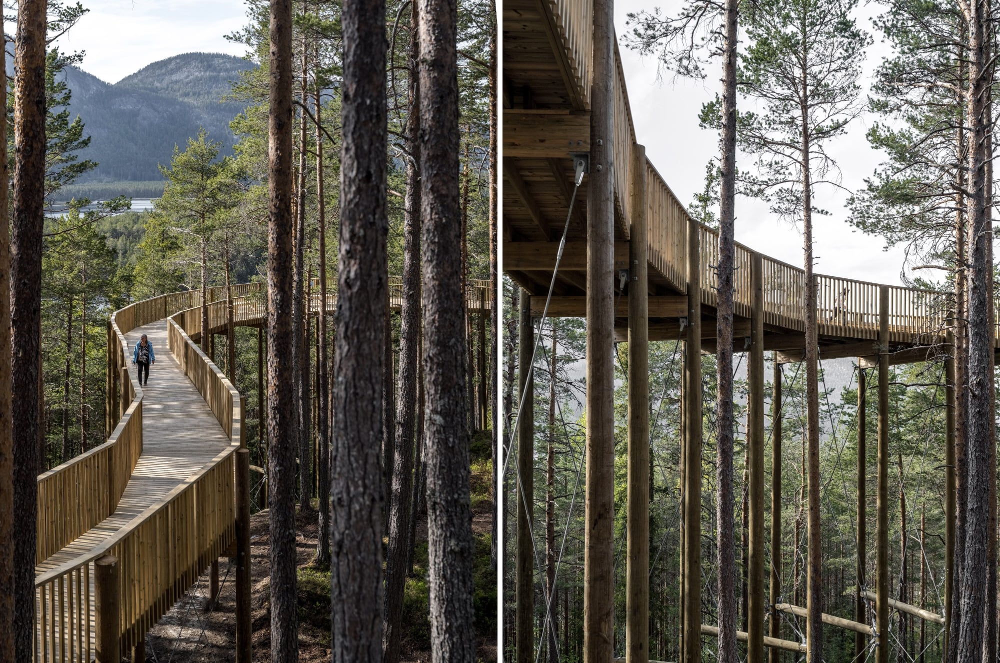 Une passerelle accessible dans les arbres à travers le parc Hamaren en Norvège 23 Deux photos aériennes d'une promenade sinueuse en pin au milieu d'une forêt