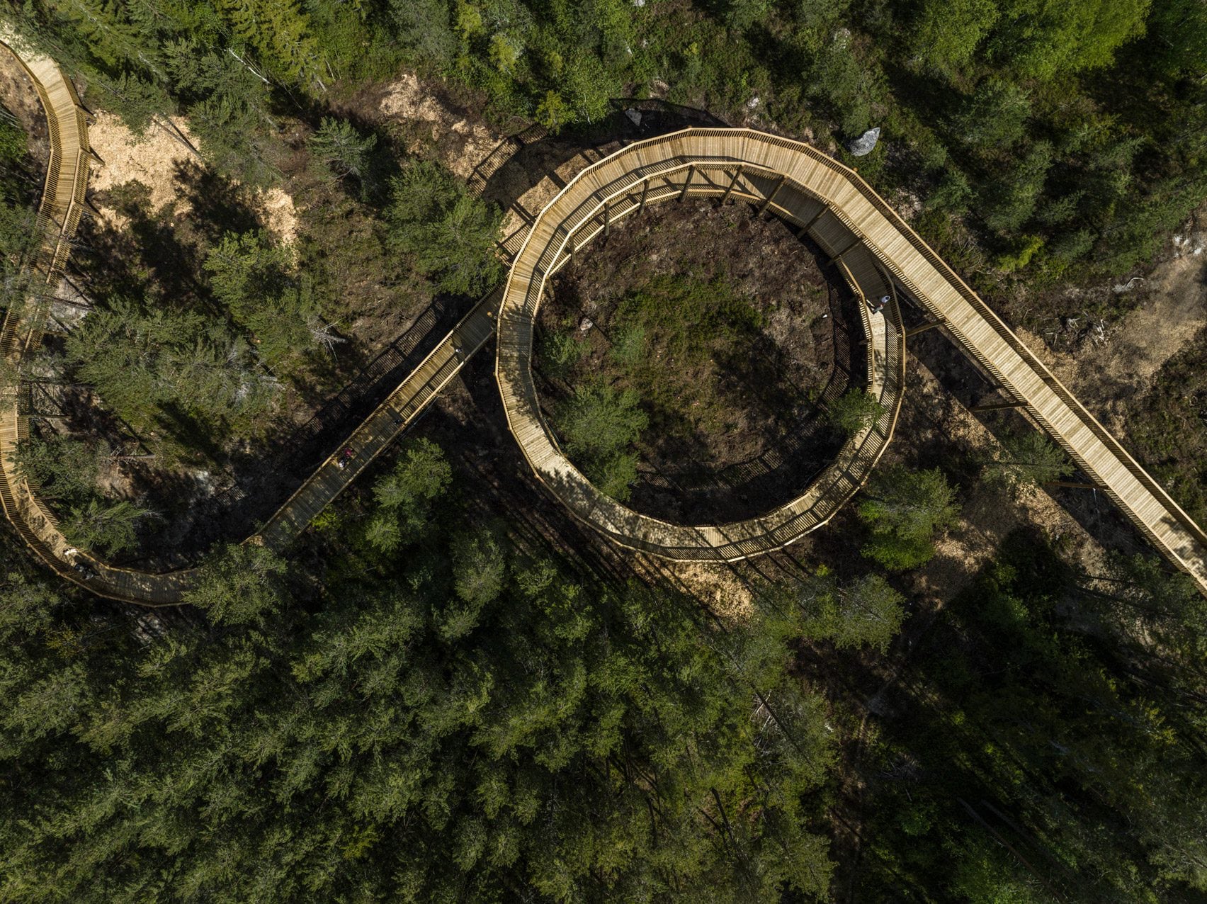 Une passerelle accessible dans les arbres à travers le parc Hamaren en Norvège 22 Photo aérienne d'une promenade sinueuse en pin au milieu d'une forêt.