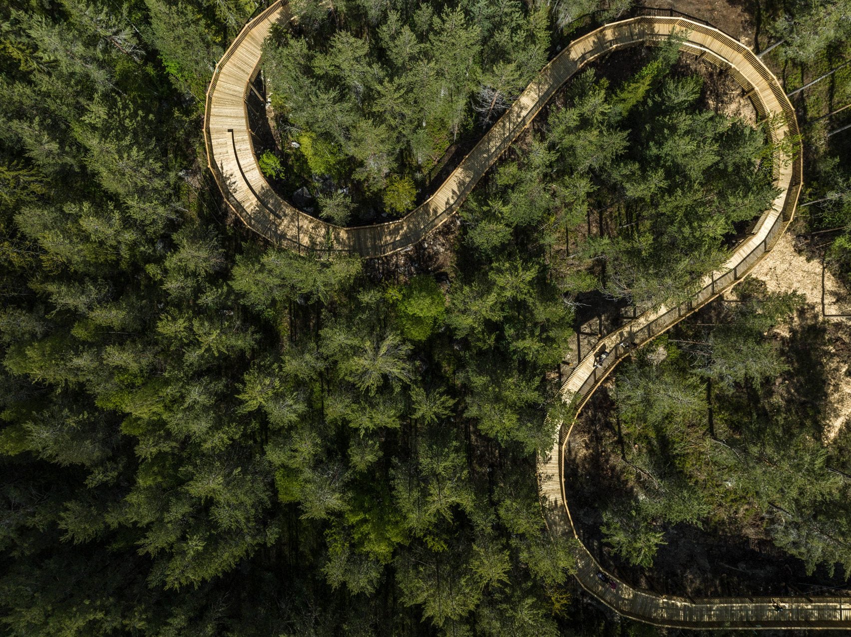 Une passerelle accessible dans les arbres à travers le parc Hamaren en Norvège 25 Photo aérienne d'une promenade sinueuse en pin au milieu d'une forêt.