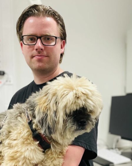 Mark a conduit des Pays-Bas à la Norvège pour sauver le chien Misty. - 4