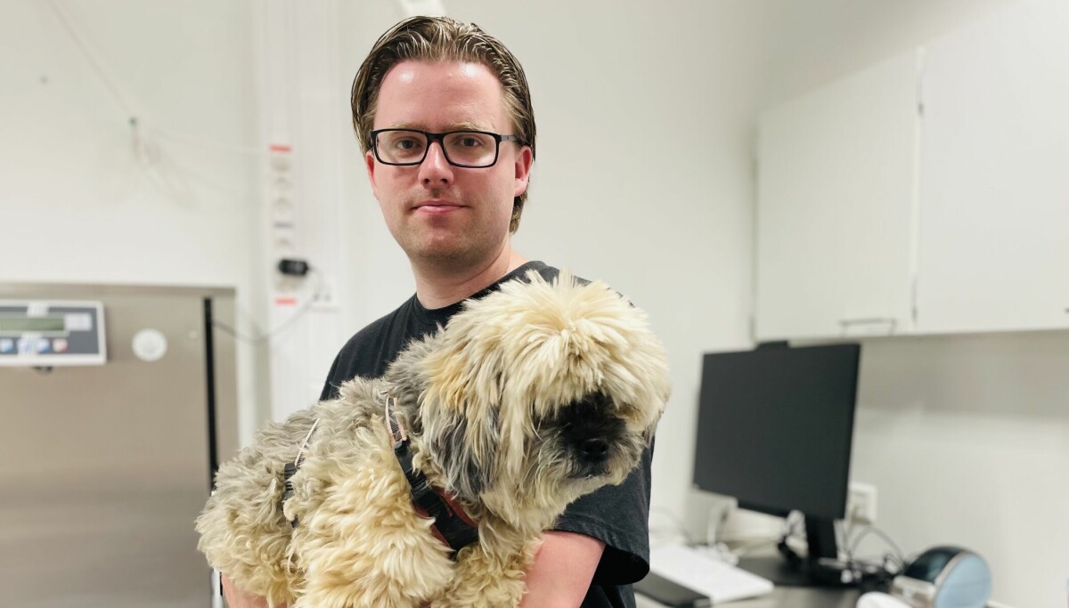Mark a conduit des Pays-Bas à la Norvège pour sauver le chien Misty. 8 Mark a conduit des Pays-Bas à la Norvège pour sauver le chien Misty. - 7